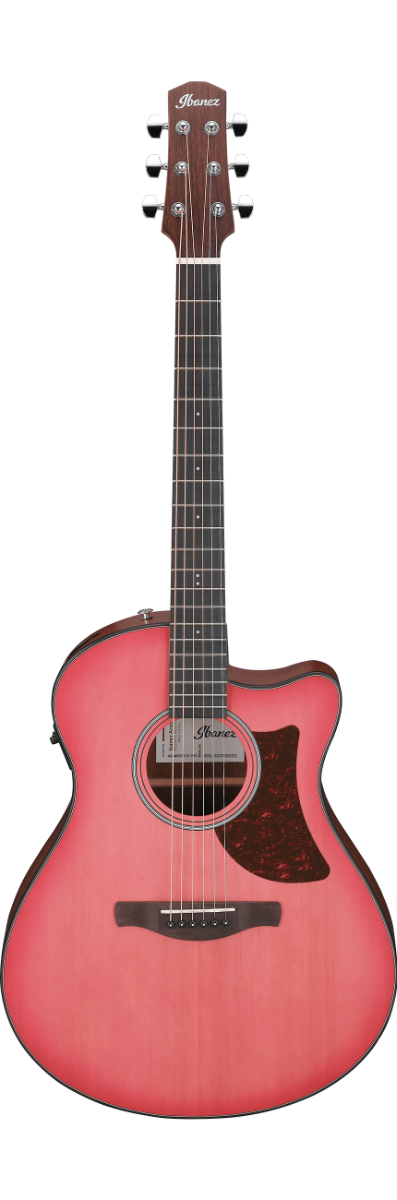 IBANEZ AAM50CE-CRO