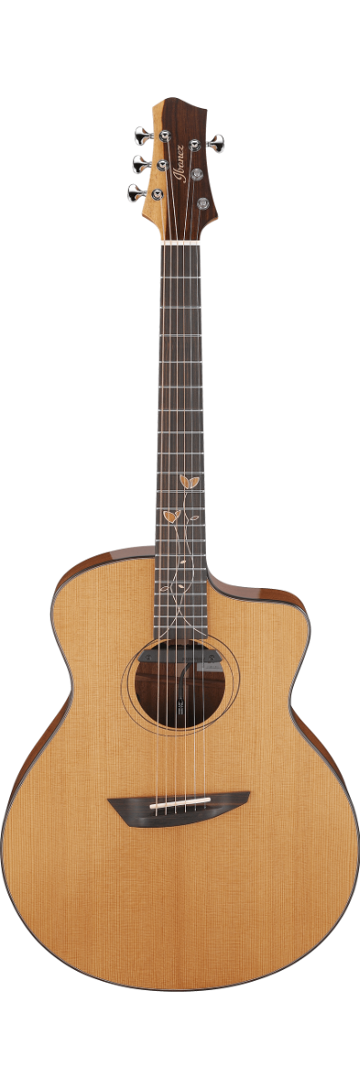 IBANEZ JGM11 JON GOMM SIGNATURE