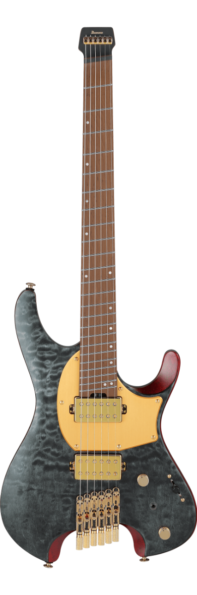 IBANEZ MGFM10-OBL