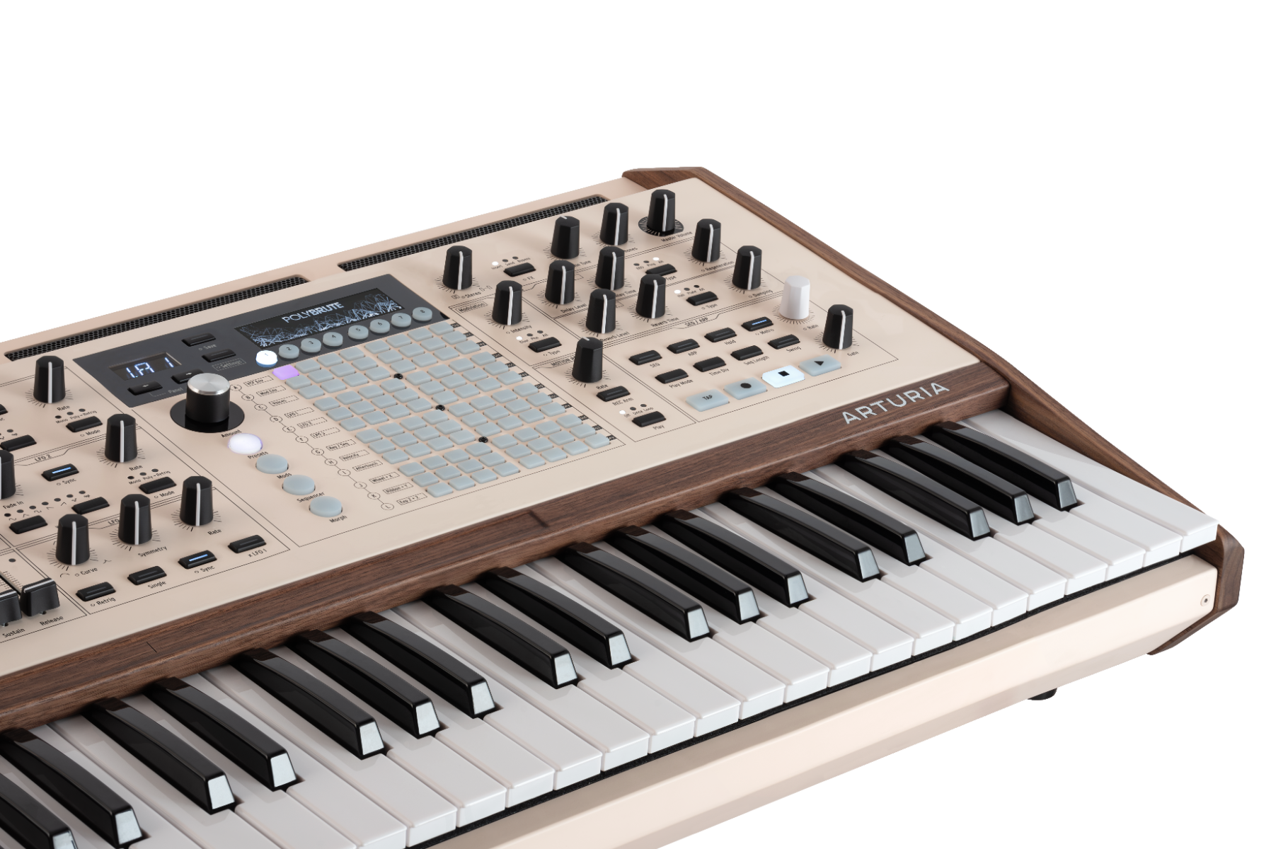 ARTURIA POLYBRUTE 12