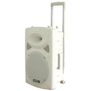 IBIZA SOUND PORT15UHF-BT-WH 