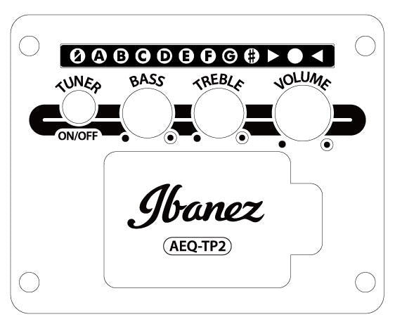 IBANEZ AAM50CE-CRO
