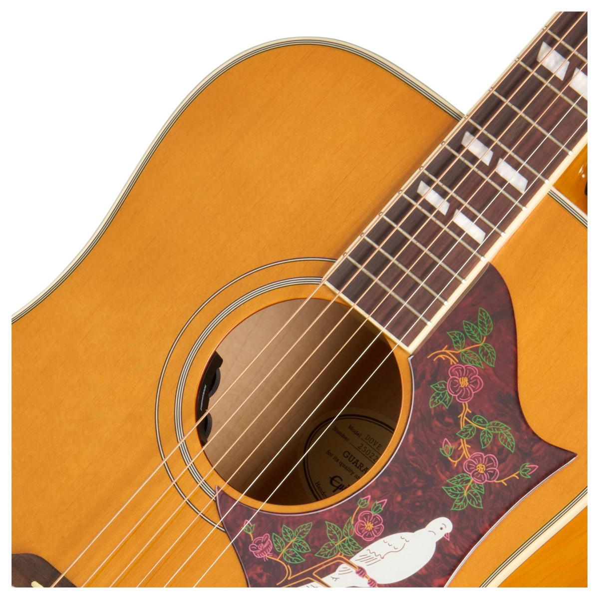 EPIPHONE DOVE STUDIO NATURAL