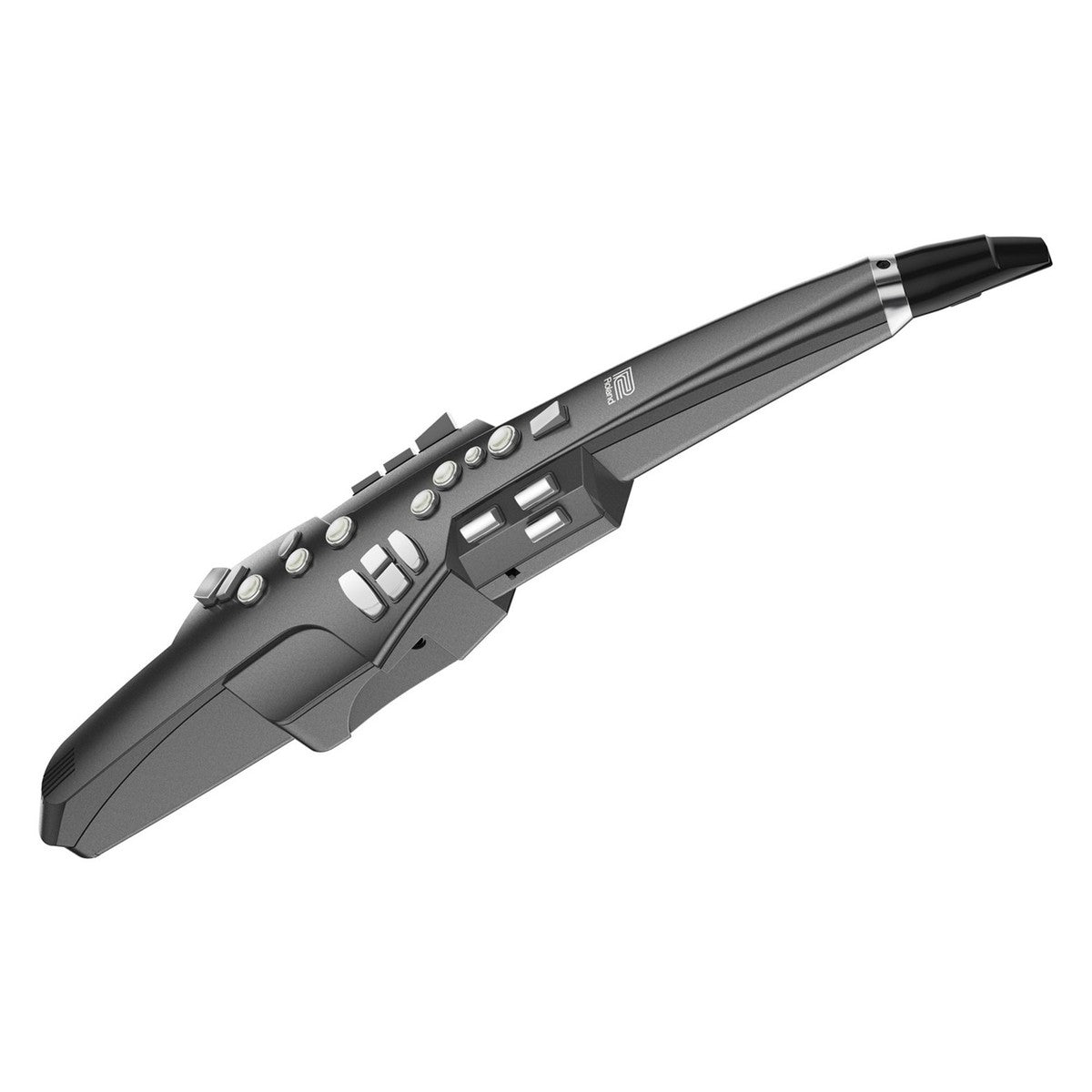 Roland AE-10G