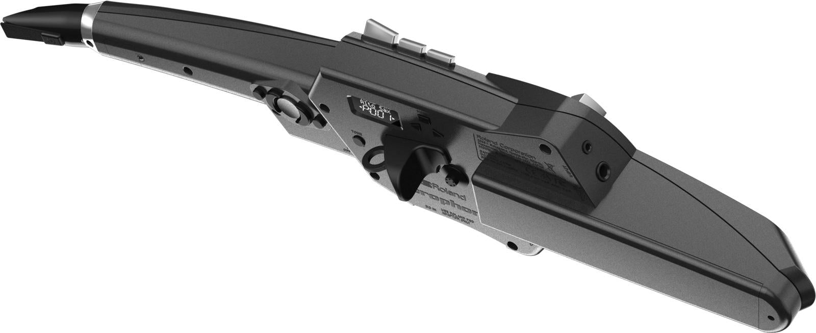 Roland AE-10G