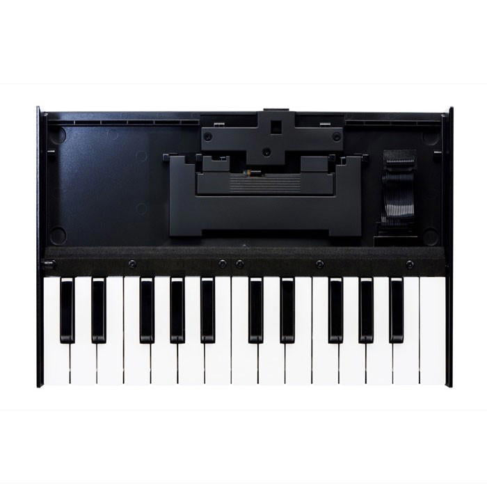 Roland Boutique K-25M