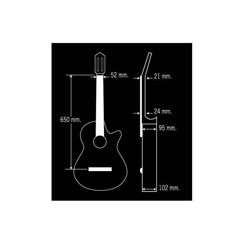 Paco Castillo Guitarra 224CE