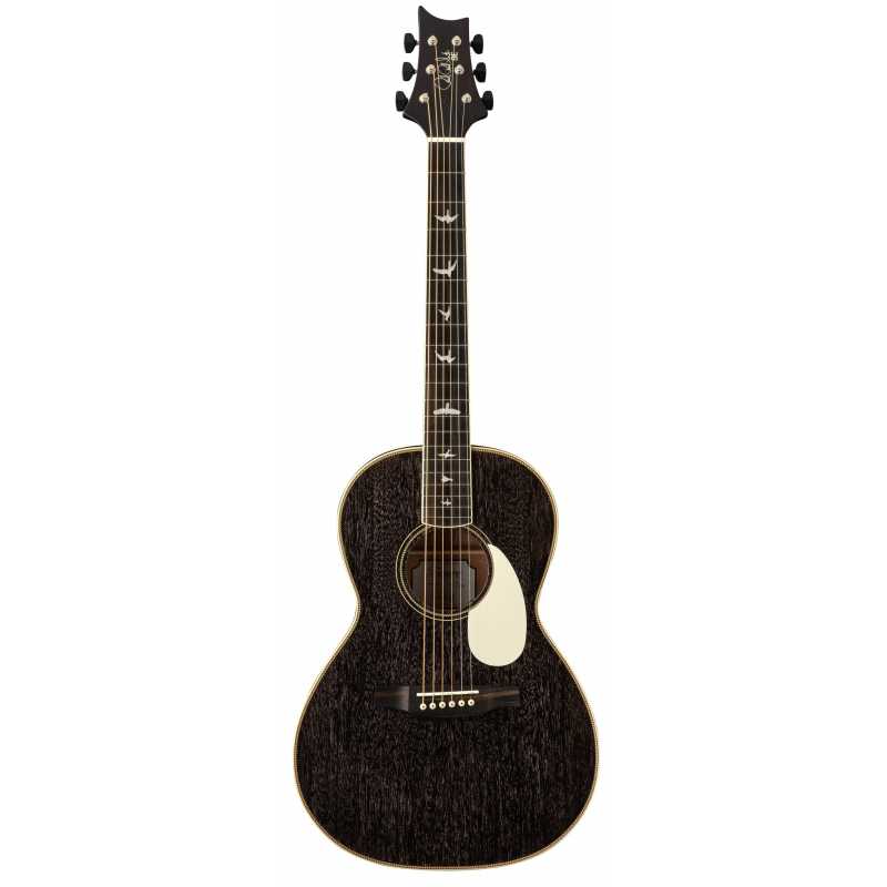 PRS GUITARS SE PARLOR 20 PIEZO DG DOG HAIR