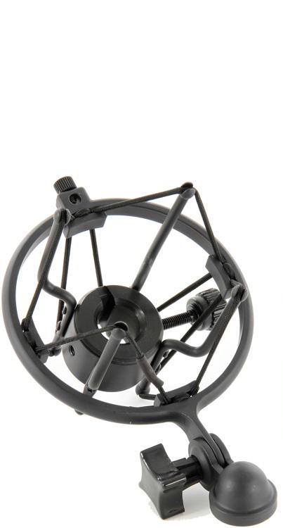 sE Electronics sE2200