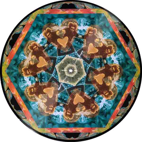 Serato The Gaslamp Killer Pressing