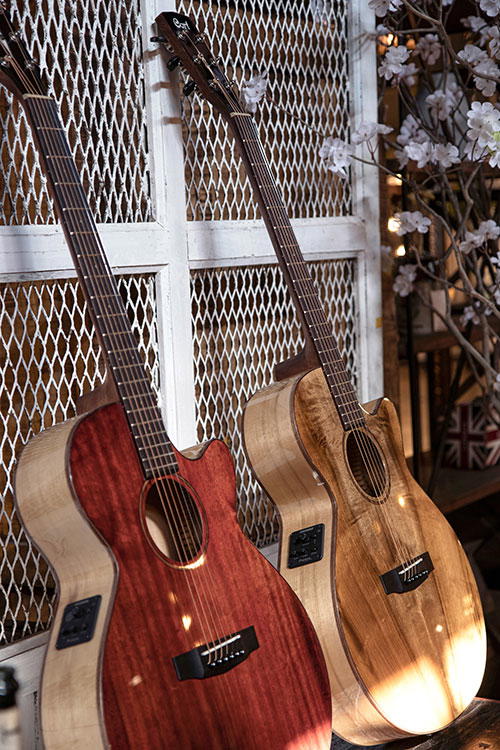 CORT Guitarra Acústica E Sfx-Myrtlewood Br