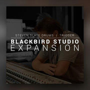 TRIGGER 2 Blackbird expansion
