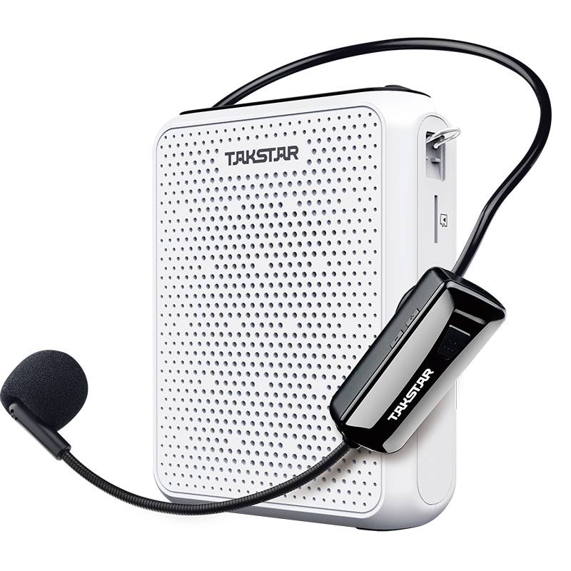 Takstar E300W