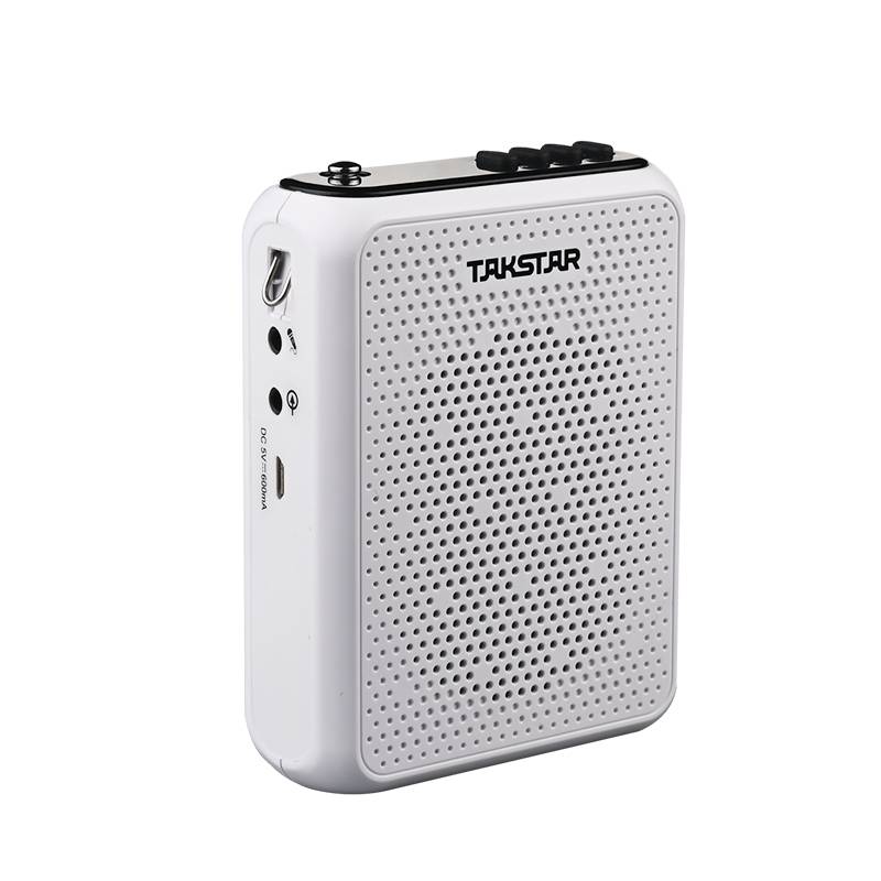 Takstar E300W
