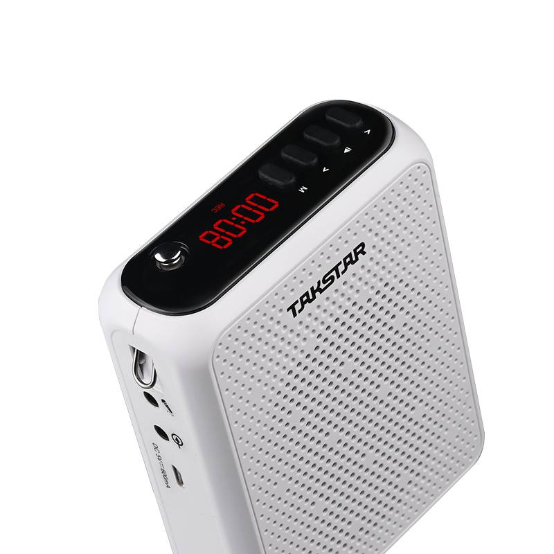Takstar E300W