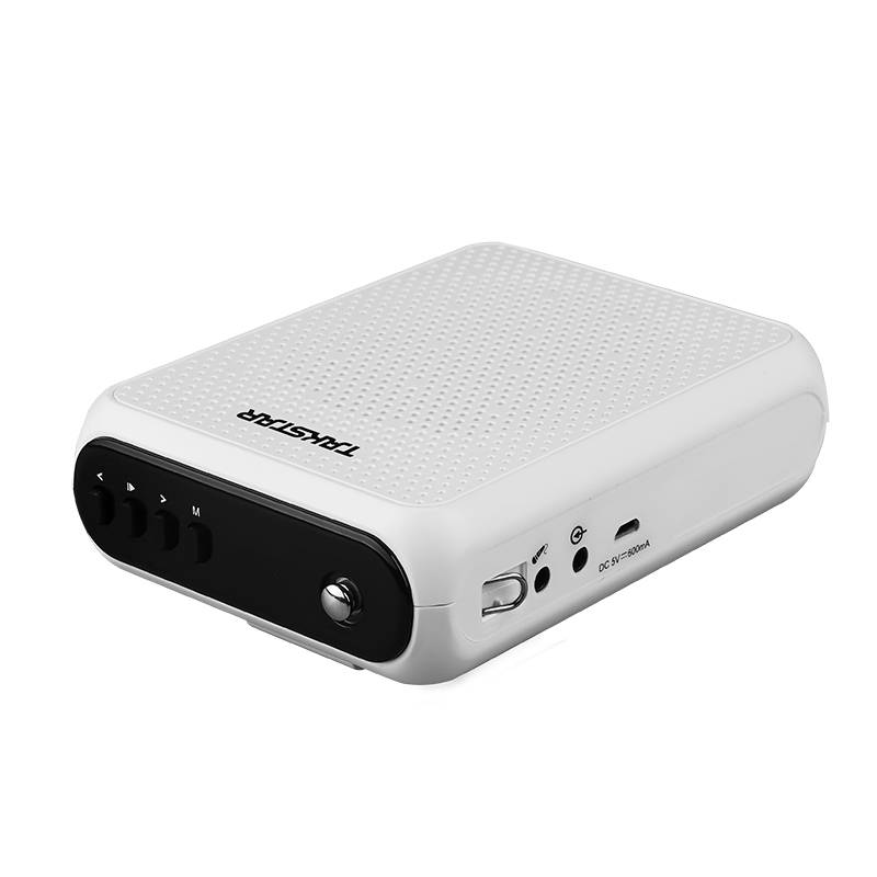 Takstar E300W