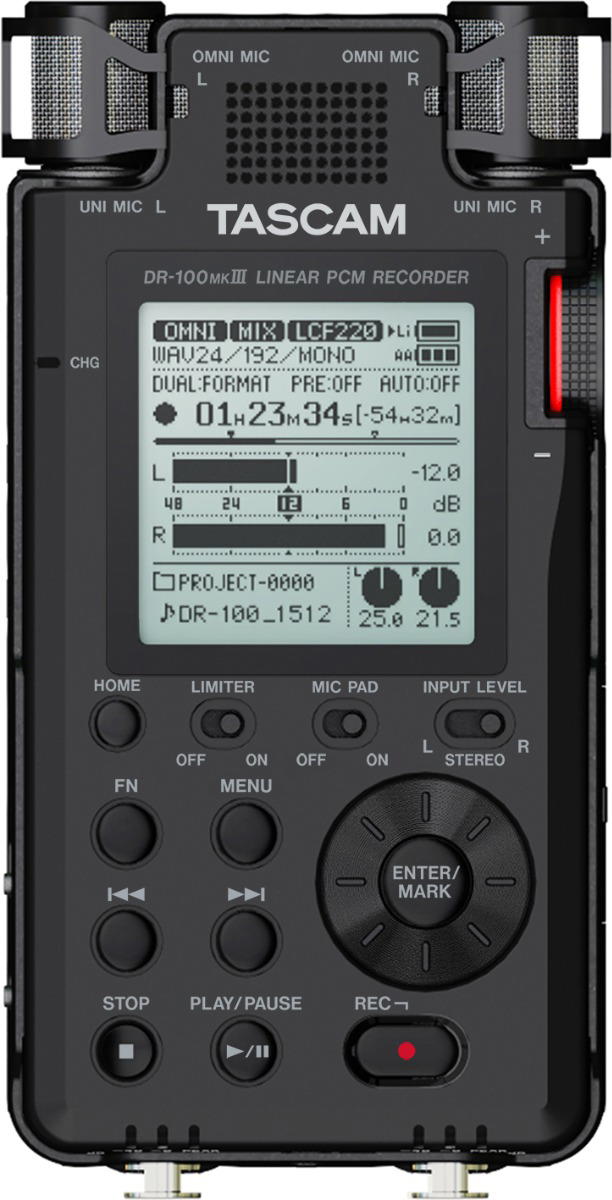 Tascam DR-100MK3