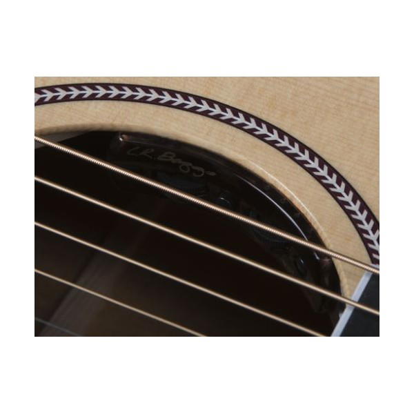 SEAGULL Artist Mosaic EQ with TRIC