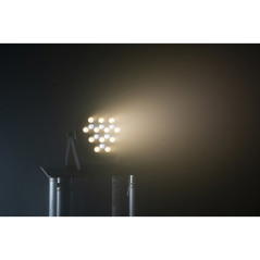 IBIZA LIGHT THINPAR-36X1WHITE THIN PAR LED 36x1W