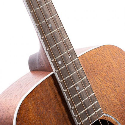 CORT Ab 590Mf Short Acoustic Bass