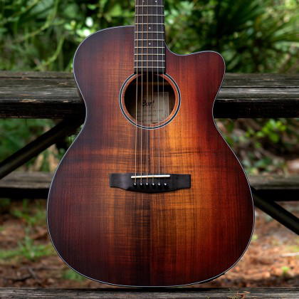 CORT Guitarra Acústica E Core-Oc Abw Oplb