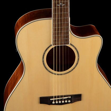 CORT Guitarra Acústica Ga-Ff Nat