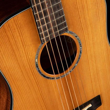 CORT Guitarra Acústica Gold Mini W/Case