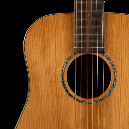 CORT Guitarra Acústica Gold Mini W/Case