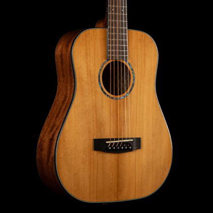 CORT Guitarra Acústica Gold Mini W/Case