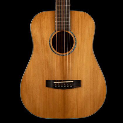 CORT Guitarra Acústica Gold Mini W/Case