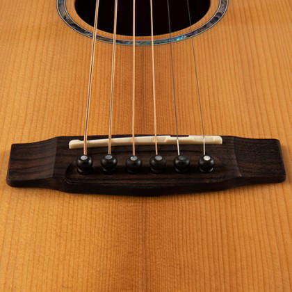 CORT Guitarra Acústica Gold Mini W/Case