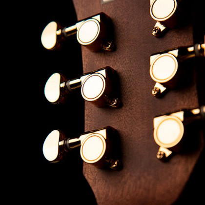 CORT Guitarra Acústica Gold Mini W/Case