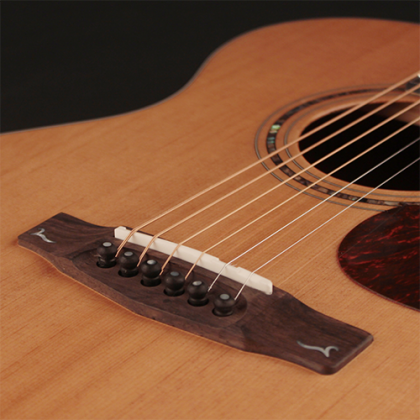 CORT Guitarra Acústica Gold-Oc6 Nat Gloss