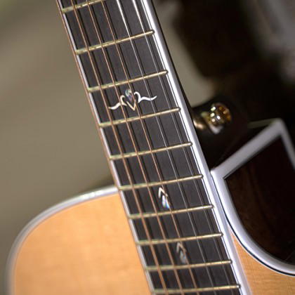 CORT Guitarra Acústica Gold-Oc8 Nat +Funda