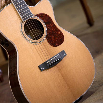 CORT Guitarra Acústica Gold-Oc8 Nat +Funda