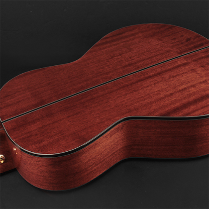 CORT Guitarra Acústica Gold P6 Parlor Nat