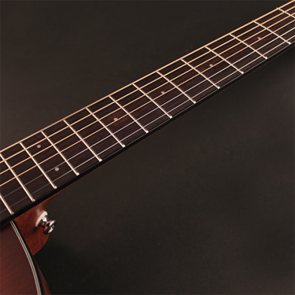 CORT Guitarra Acústica Little Cj Blackwood