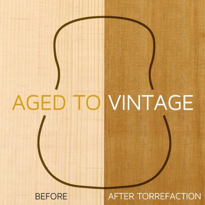 CORT Guitarra Acústica E Sfx-Myrtlewood Na