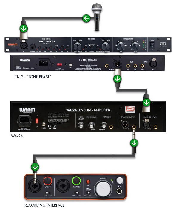 Warm Audio W-2A