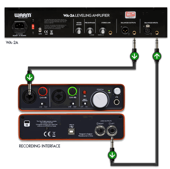 Warm Audio W-2A