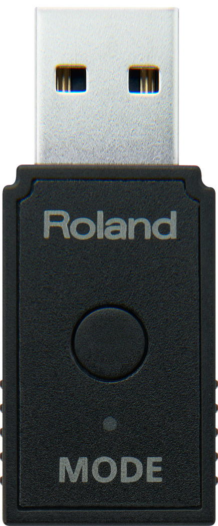 Roland WM-1D